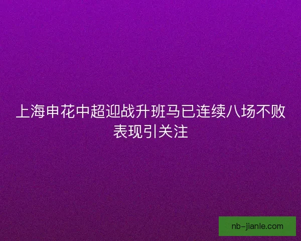 上海申花中超迎战升班马已连续八场不败表现引关注